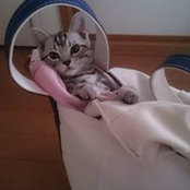 Foto de Hiroko Arai
