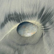 Claire Sorial's photo