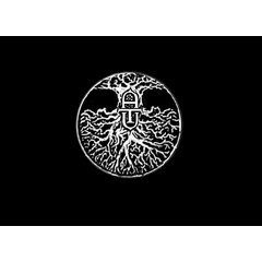 The Ancient Tree Underground