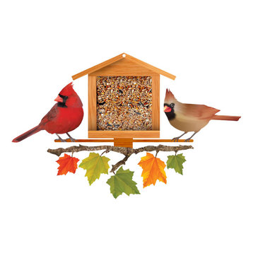 Nature's Symphony Cardinal