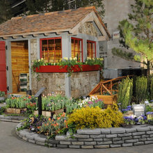Garden Shed