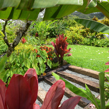 Tropical Landscape
