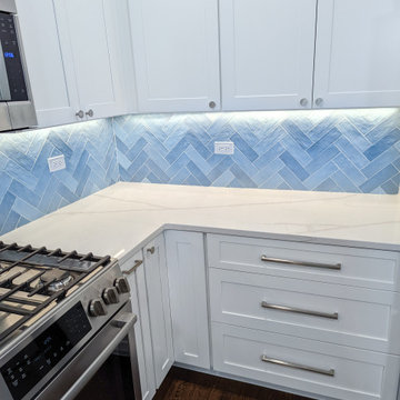 Lincoln Park Kitchen Remodel