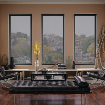 Interior Roller Shades
