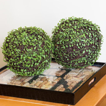 Mohlenbechia Foliage for Family Room Side Table