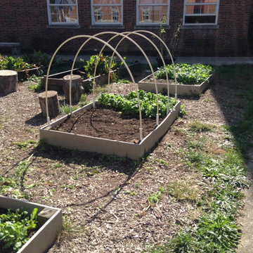 Outdoor Classroom