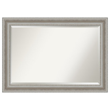 Parlor Silver Beveled Wall Mirror - 41.5 x 29.5 in.