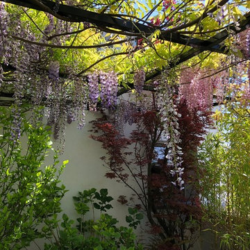 Terrasse parisienne de 220m2