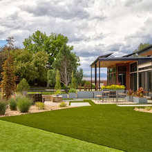 Yard Landscaping