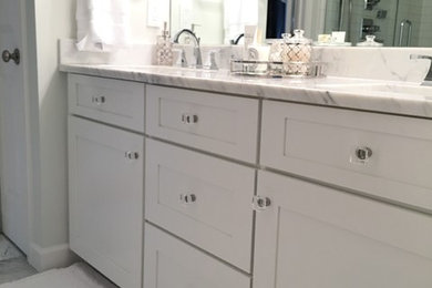 Mid-sized transitional bathroom photo in Detroit
