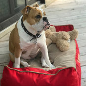 Liza Sisler's photo
