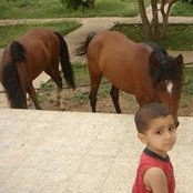 Ebrahim Almoshki's photo