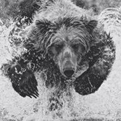 Matt McGrail's photo