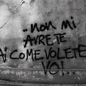 Antonella Cinquefiori's photo
