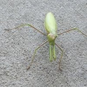 Foto von Donnalynn Hoffman