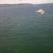 Malgorzata Stewart's photo
