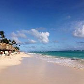 Lynn Richards's photo