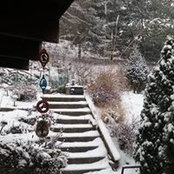 Sharon Taylor's photo