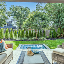 Privacy Fence
