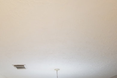 Texture Removal (After)