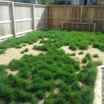 Synthetic Artificial Turf Grass Dog Yard Make Over Lethbridge 2013