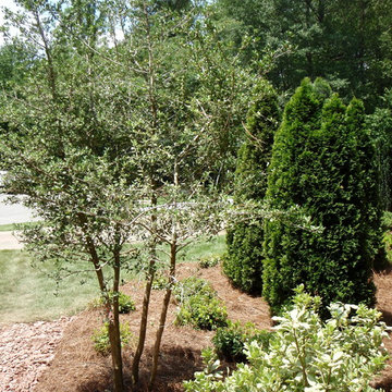 Foundational Planting