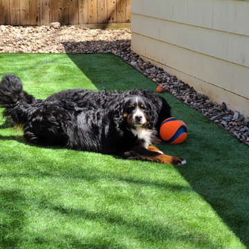 Sherwood St Turf Job