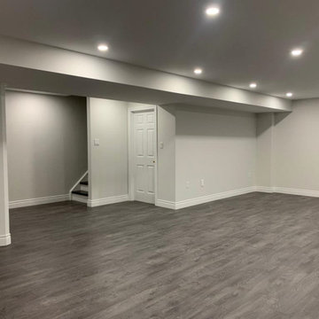 Basement Renovation and Finishing