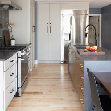 Mixed Materials and Added Functionality for a Mid-Century Modern Remodel