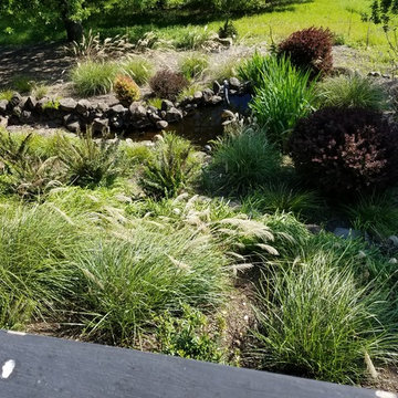 Water features