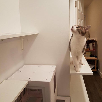 Curious