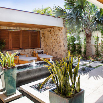 Exterior Elevations and Drone Photography