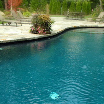 Signature Pools