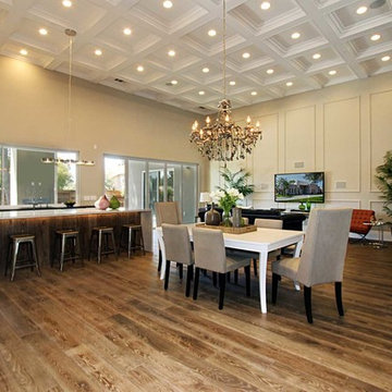 Carmichael Modern Custom Home