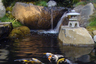 Design ideas for an asian landscaping in Chicago.