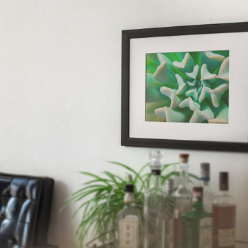 Succulent Botanical Nature Photograph Wall Art Prints