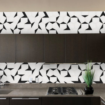 Classic White & Black Hex