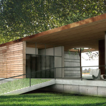 House for an Art Collector