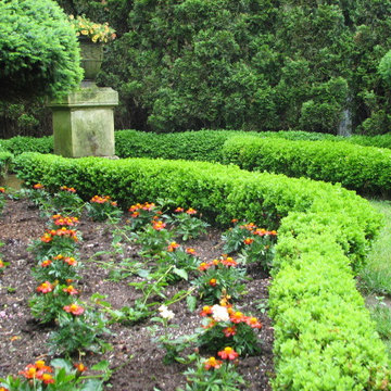 Hot-hued annuals add a touch of color against green