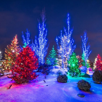 Christmas Light Design and Installation