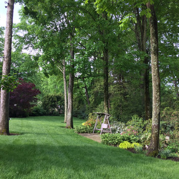 Mixed shrub border