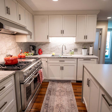 Eden Prairie Main Level Remodel