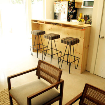 LEED Silver Urban Duplex