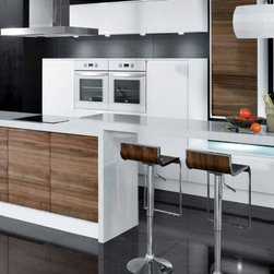 Contemporary Kitchen Cabinets - Products