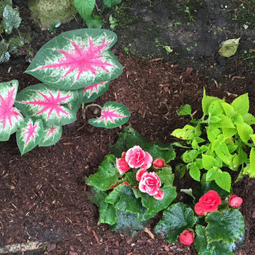 Back yard shrubbery | Artistry Landscaping Design