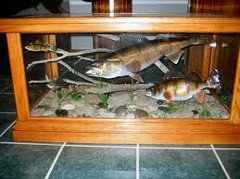 Family Room and Fish Mount