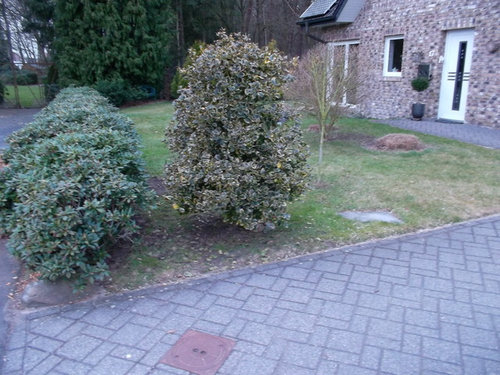 Vorher - Nachher Vorgarten