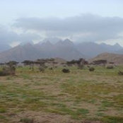 Ahmed Khalil's photo