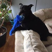 Andrew Slepian's photo