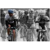 Mark Hughes's photo